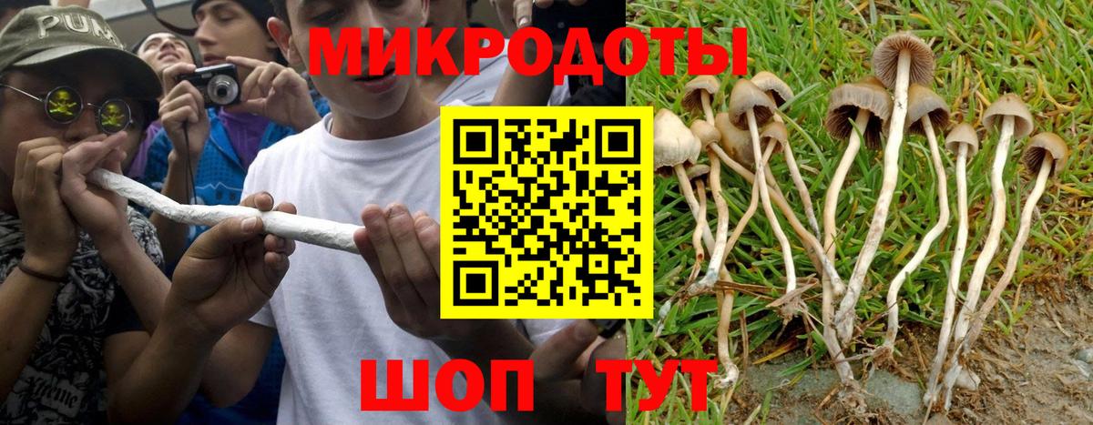 Галлюциногенные грибы ЛСД Малгобек