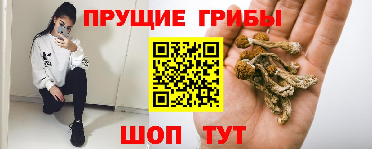Малгобек  Галлюциногенные грибы Magic Shrooms  Вход с VPN  Галлюциногенные грибы прущие грибы 